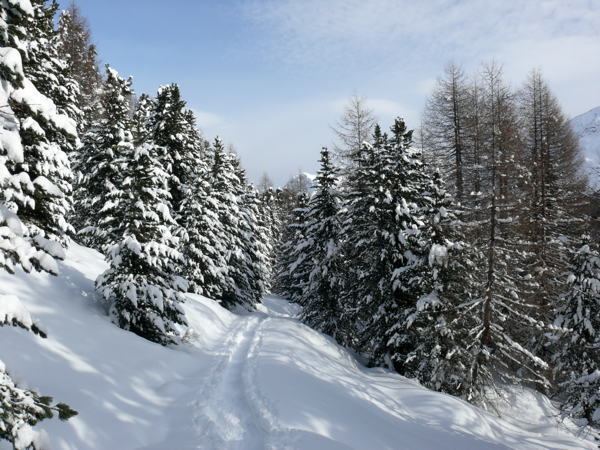 Panoramic view Val Martello / Martelltal