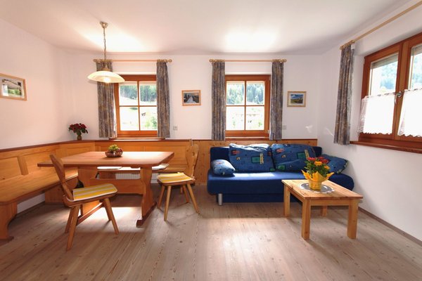 The living area Apartments Auhaus