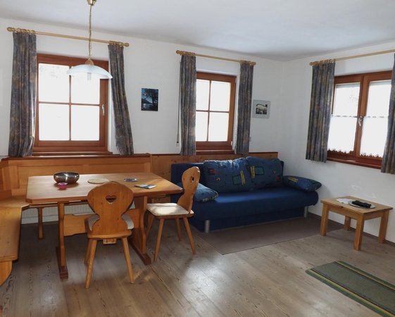 The living area Apartments Auhaus
