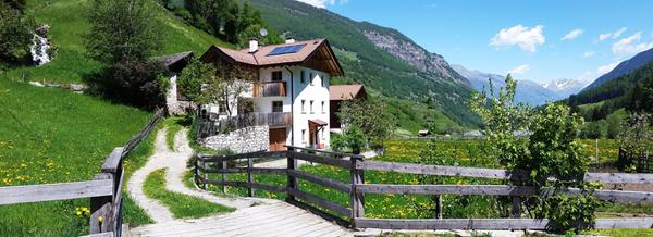 Photo exteriors in summer Auhaus