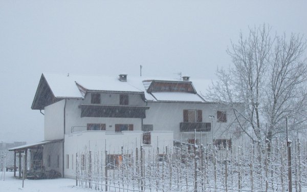Foto esterno in inverno Wielander Sackgut