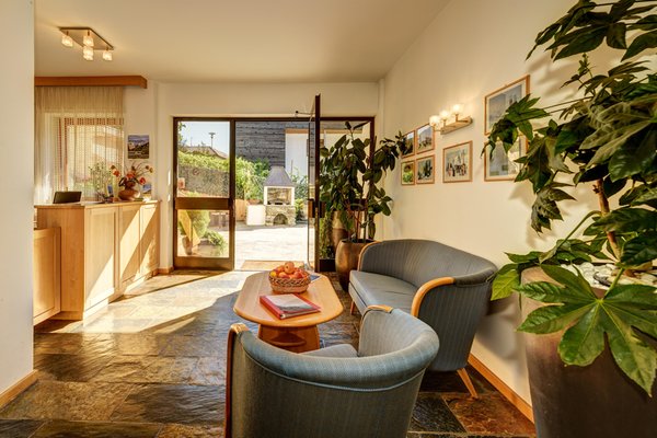 Photo of the living room