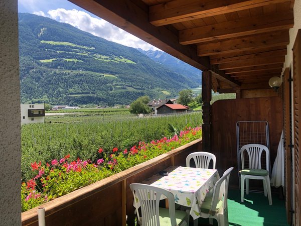 Vista dalla struttura
