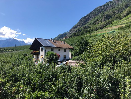 Foto esterno Appartamenti in agriturismo Pixnerhof