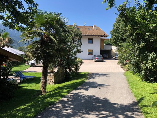 Foto esterno Appartamenti in agriturismo Pixnerhof
