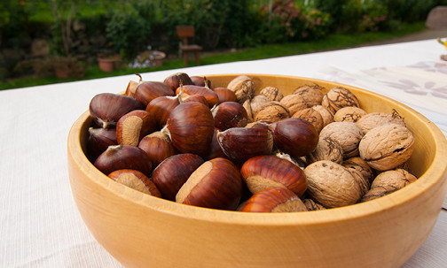 Il cibo