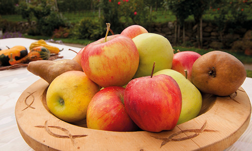 Il cibo