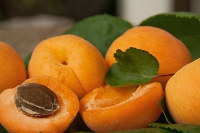 Il cibo