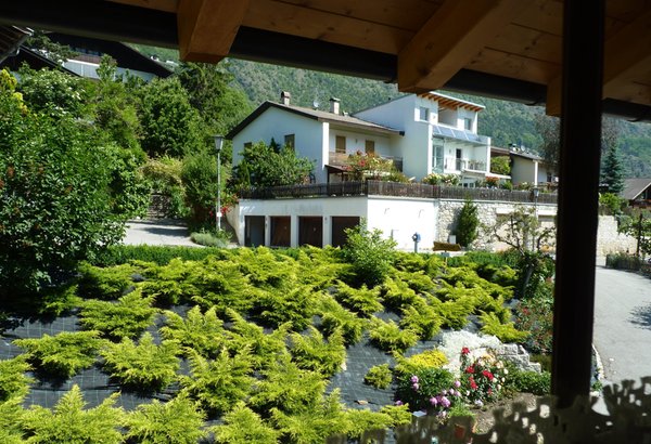 Photo of the garden Castelbello - Ciardes / Kastelbell - Tschars