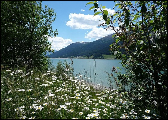 Bildergalerie Sommer