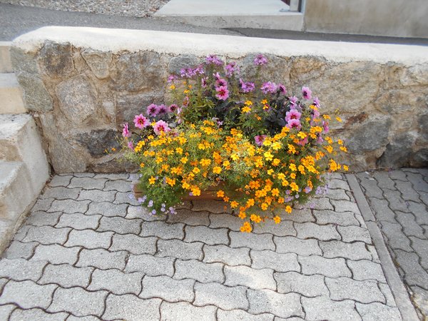 Foto del giardino San Valentino alla Muta