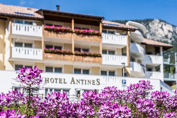 Foto estiva di presentazione Hotel Antines