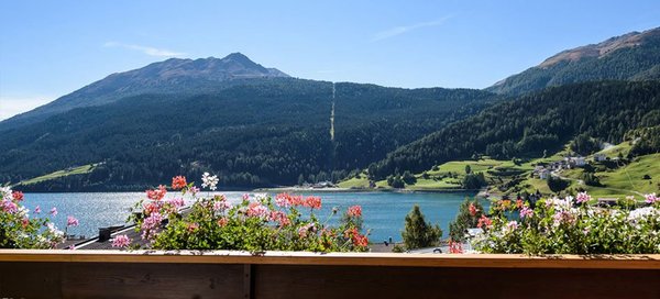Vista dalla struttura