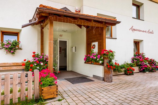 Photo exteriors in summer Haus Heidi
