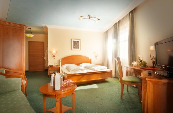 Foto della camera Hotel Engel
