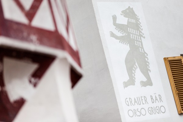 Logo Grauer Bär