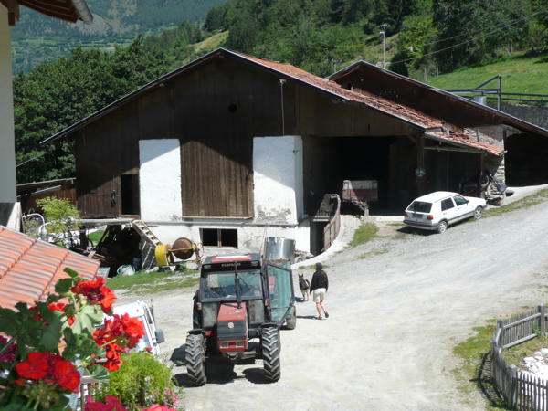 Foto di alcuni dettagli Patztauhof