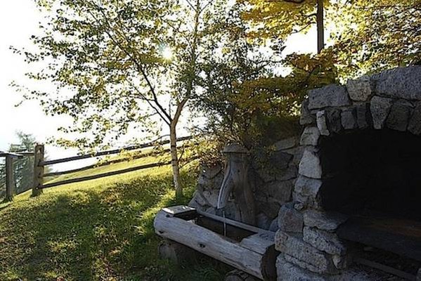 Foto del giardino Malles - Tarces