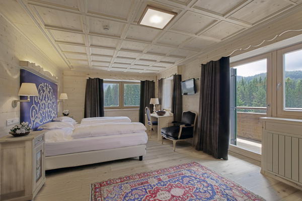 Immagine Hotel Ciasa Salares