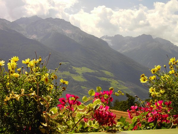 Panorama Silandro