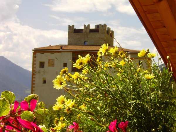Panorama Silandro