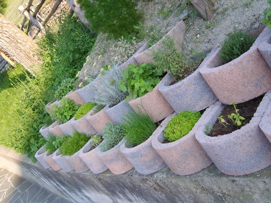 Foto vom Garten Schlanders