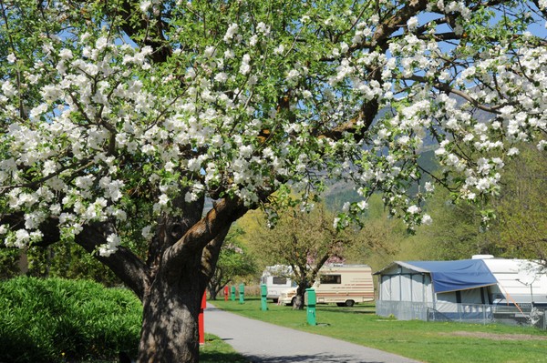 Foto vom Garten Laas