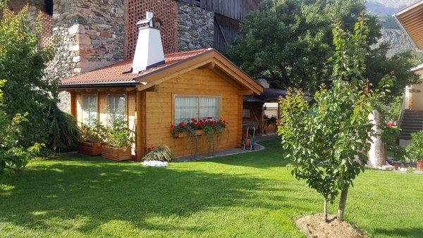 Foto vom Garten Laas