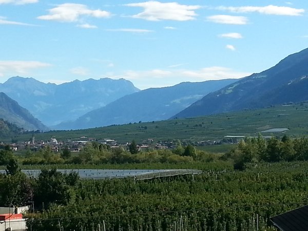 Bildergalerie Sommer