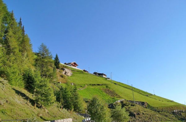 La posizione Appartamenti in agriturismo Greithof Val Martello
