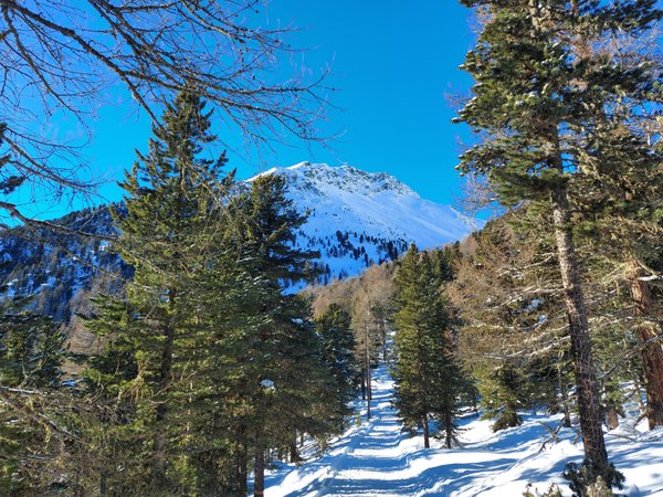 Panorama Val Martello