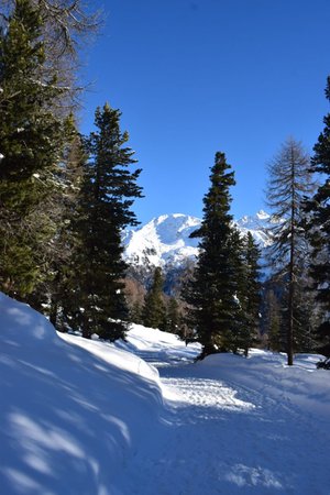 Panorama Val Martello