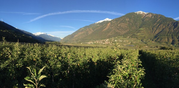 Panorama Castelbello - Ciardes