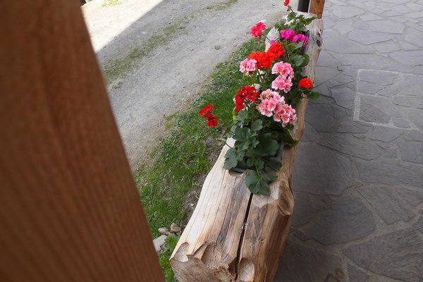 Foto di alcuni dettagli Tumpaschin-Hof