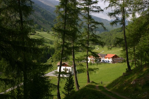 La posizione Appartamenti in agriturismo Tumpaschin-Hof Malles - Mazia