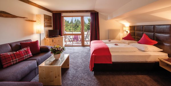 Photo of the room Hotel Falzeben