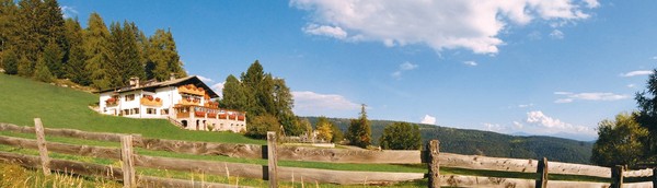 Foto esterno Gasthof (Albergo) Waldbichl