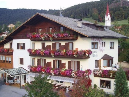 Foto Außenansicht Hotel Alber