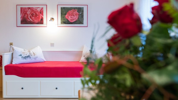 Photo of the room Apartments Sonnwies