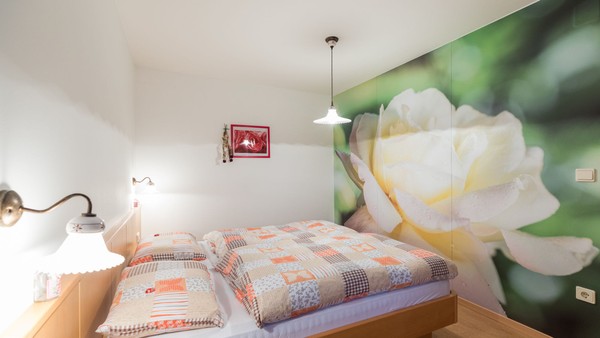 Photo of the room Apartments Sonnwies