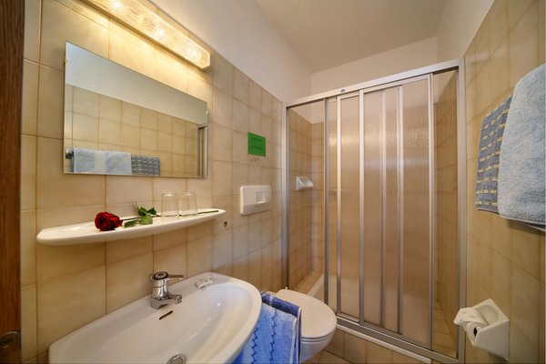 Foto del bagno Camere + Appartamenti in agriturismo Steinerhof
