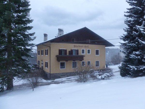 Foto invernale di presentazione Steinerhof - Camere + Appartamenti in agriturismo 4 fiori