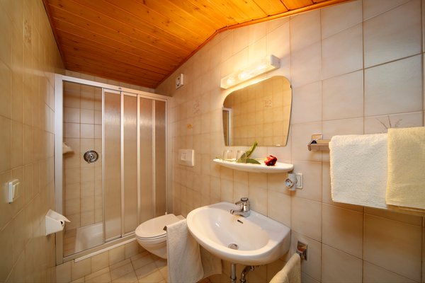 Foto del bagno B&B + Appartamenti in agriturismo Steinerhof