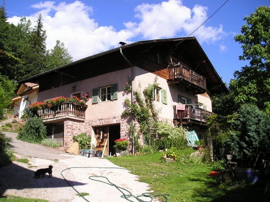 Foto esterno Appartamenti in agriturismo Untersteinhof