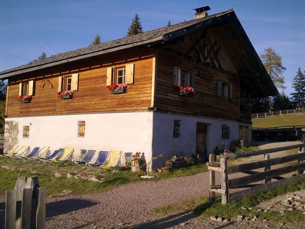 Foto esterno in estate Wurzer