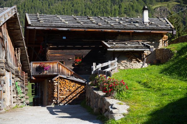 Foto esterno in estate Untervernatschhof