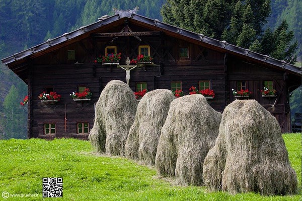 Foto Außenansicht B&B + Ferienwohnungen auf dem Bauernhof Oberauhof