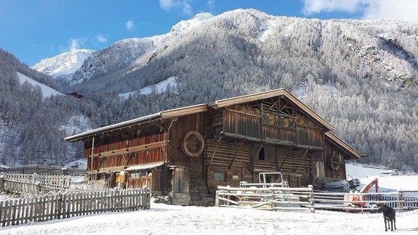 Foto Außenansicht B&B + Ferienwohnungen auf dem Bauernhof Oberauhof