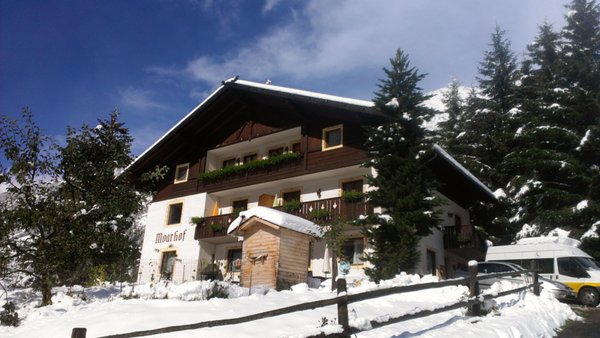 Foto invernale di presentazione Appartamenti in agriturismo Moarhof