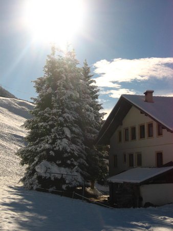 Foto esterno in inverno Moarhof